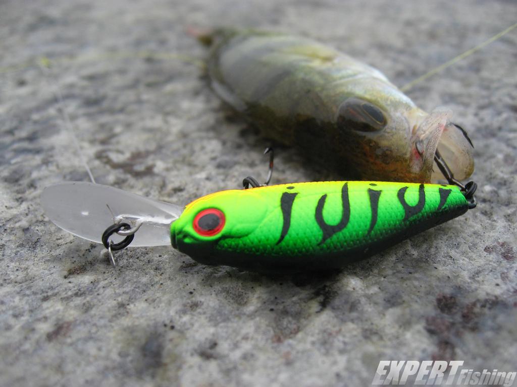 Воблеры crankbait (кренки): преимущества, критерии выбора, область применения